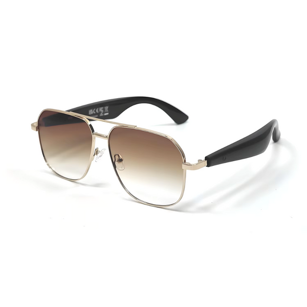 Ai Translation Smart Glasses - Aviator IA
